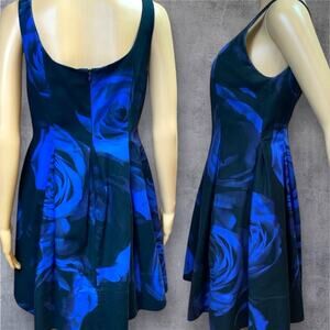 GAP Pleated Dress Fit N Flare Blue & Black rose print Dress Size 6. Easter